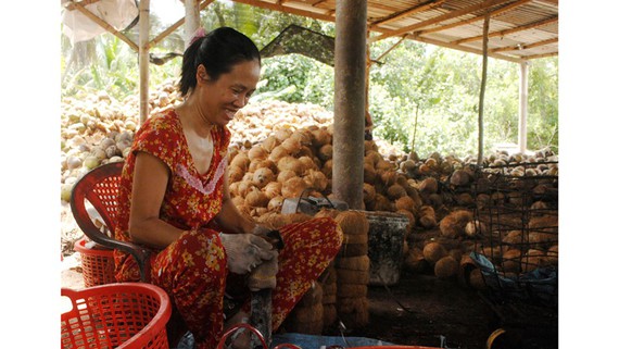 Xây dựng Làng văn hóa du lịch Chợ Lách mang tầm quốc gia