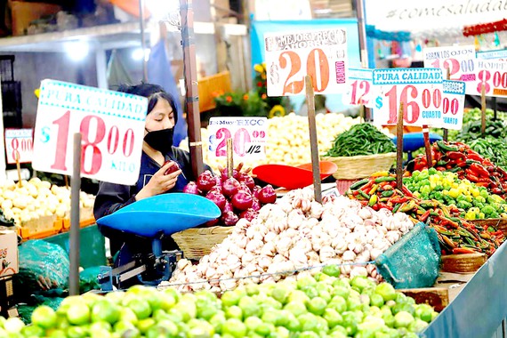 Kinh tế châu Á, Mỹ Latinh hồi phục chưa như mong đợi