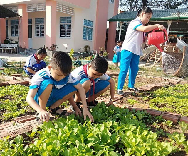 Bài học về tình yêu lao động và môi trường từ những điều rất nhỏ