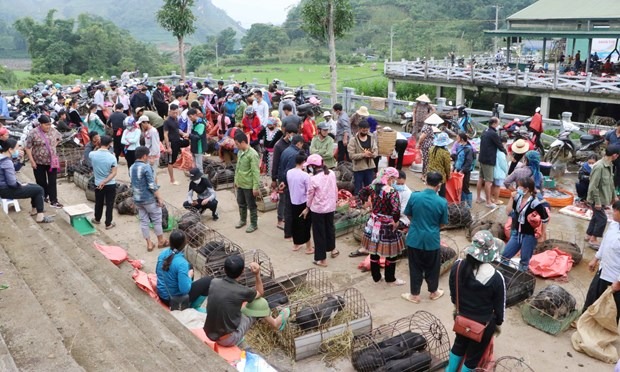 Doc dao cho phien San Thang dam net van hoa cua nguoi Giay, Mong hinh anh 1