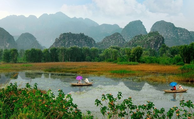 Ngắm những tác phẩm xuất sắc nhất cuộc thi ảnh 'Bảo tồn và sử dụng bền vững các vùng đất ngập nước của Việt Nam'