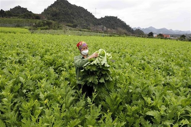 Pha vo cac rao can de nguoi nong dan huong den nen nong nghiep xanh hinh anh 2