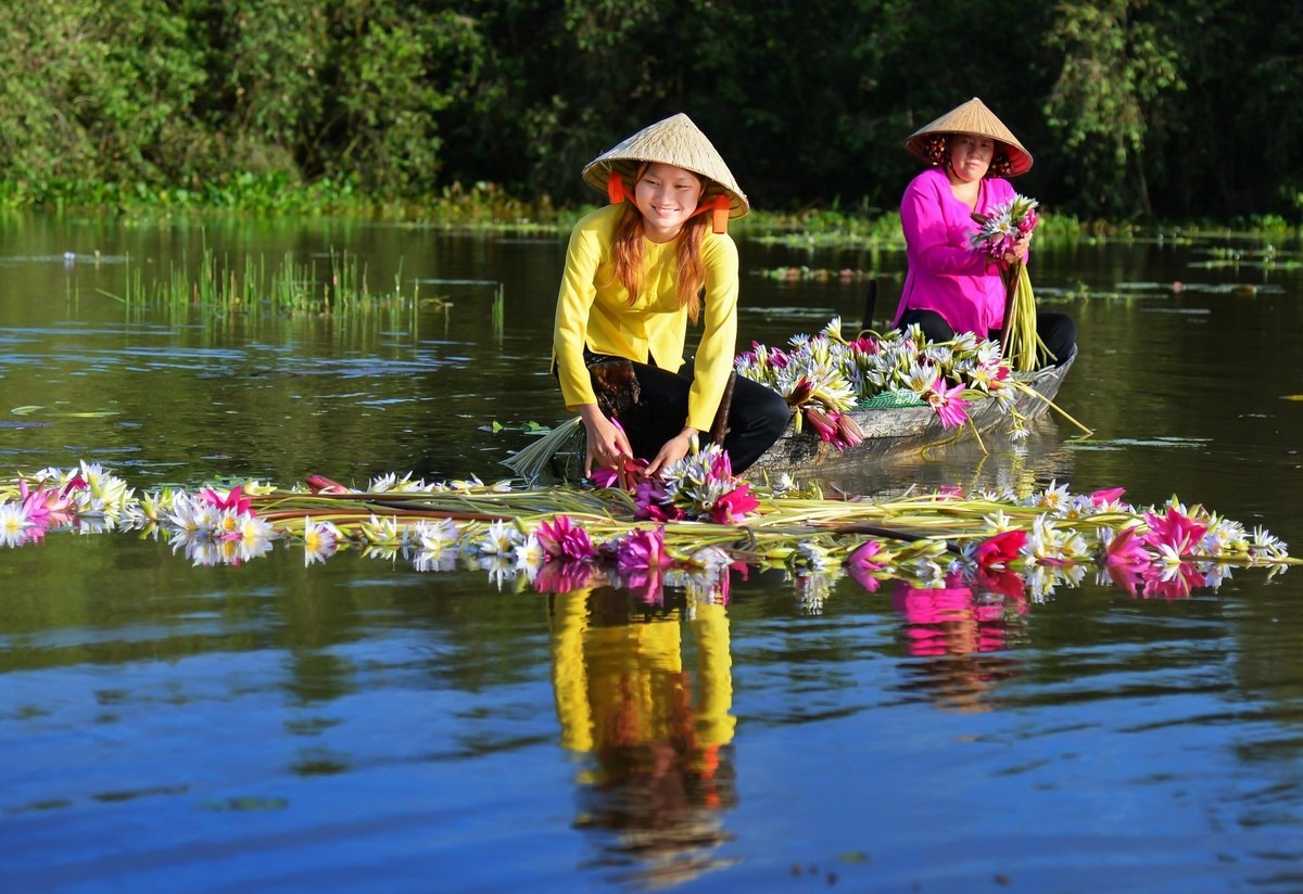 Về Long An ngắm hoa súng nở ảnh 5