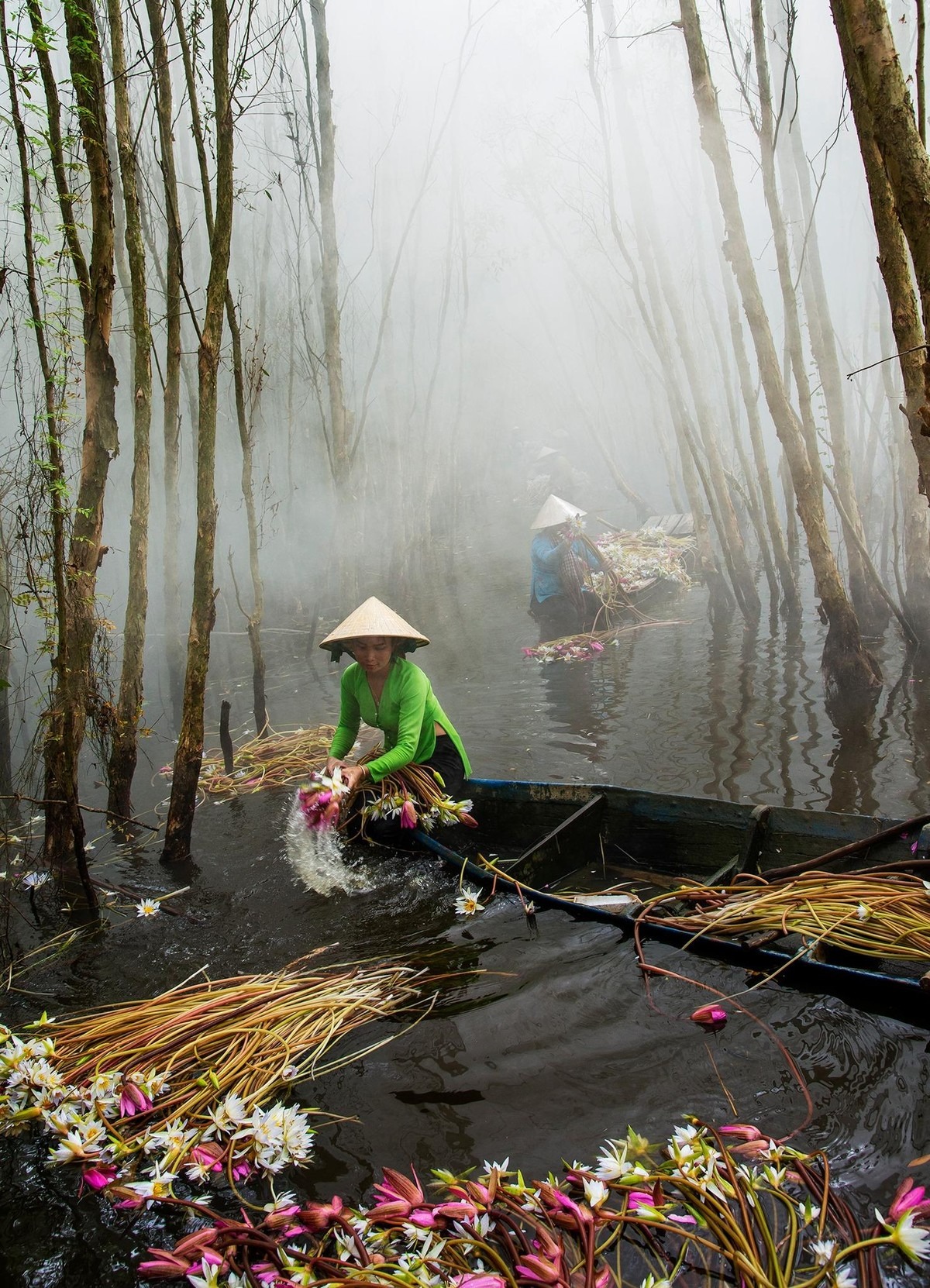 Về Long An ngắm hoa súng nở ảnh 6