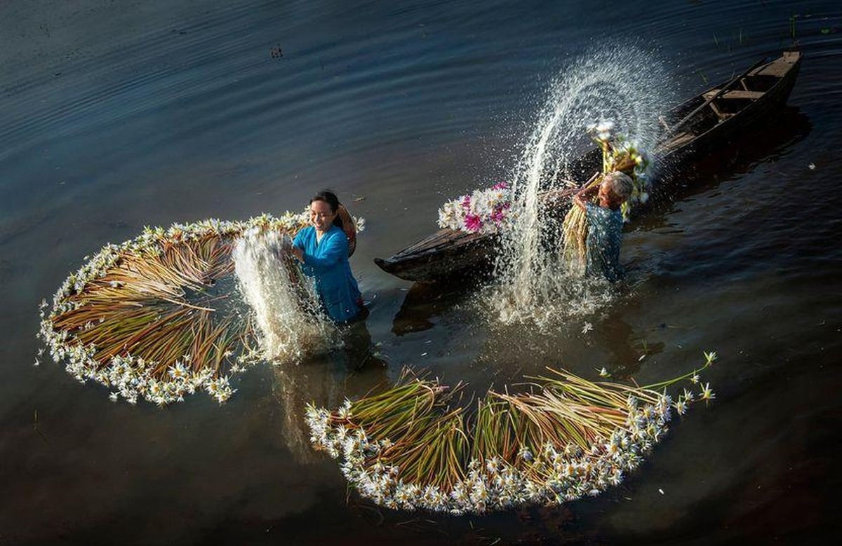 Về Long An ngắm hoa súng nở ảnh 8