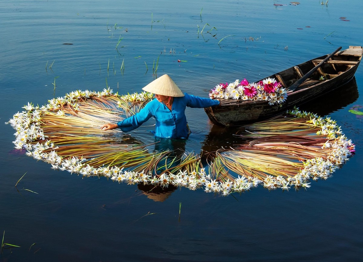 Về Long An ngắm hoa súng nở ảnh 10