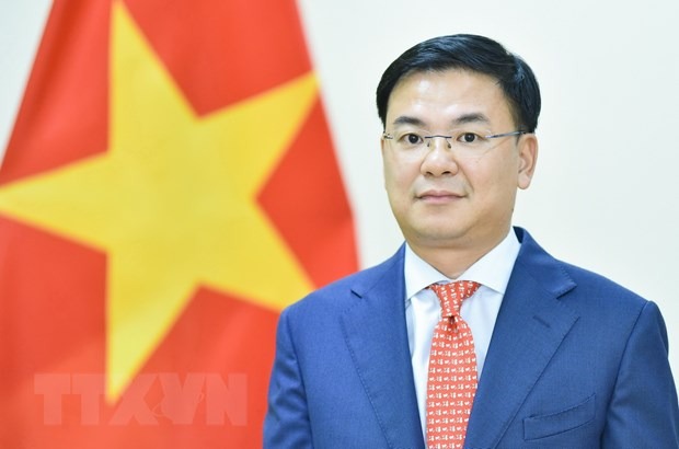 Doi moi phuong thuc lanh dao voi cac hoi doan nguoi Viet o nuoc ngoai hinh anh 1