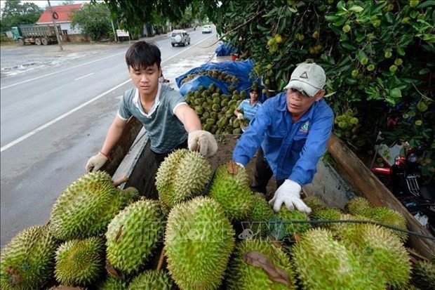 Xuat khau rau qua tang toc, tien toi moc 5 ty USD vao nam 2025 hinh anh 2