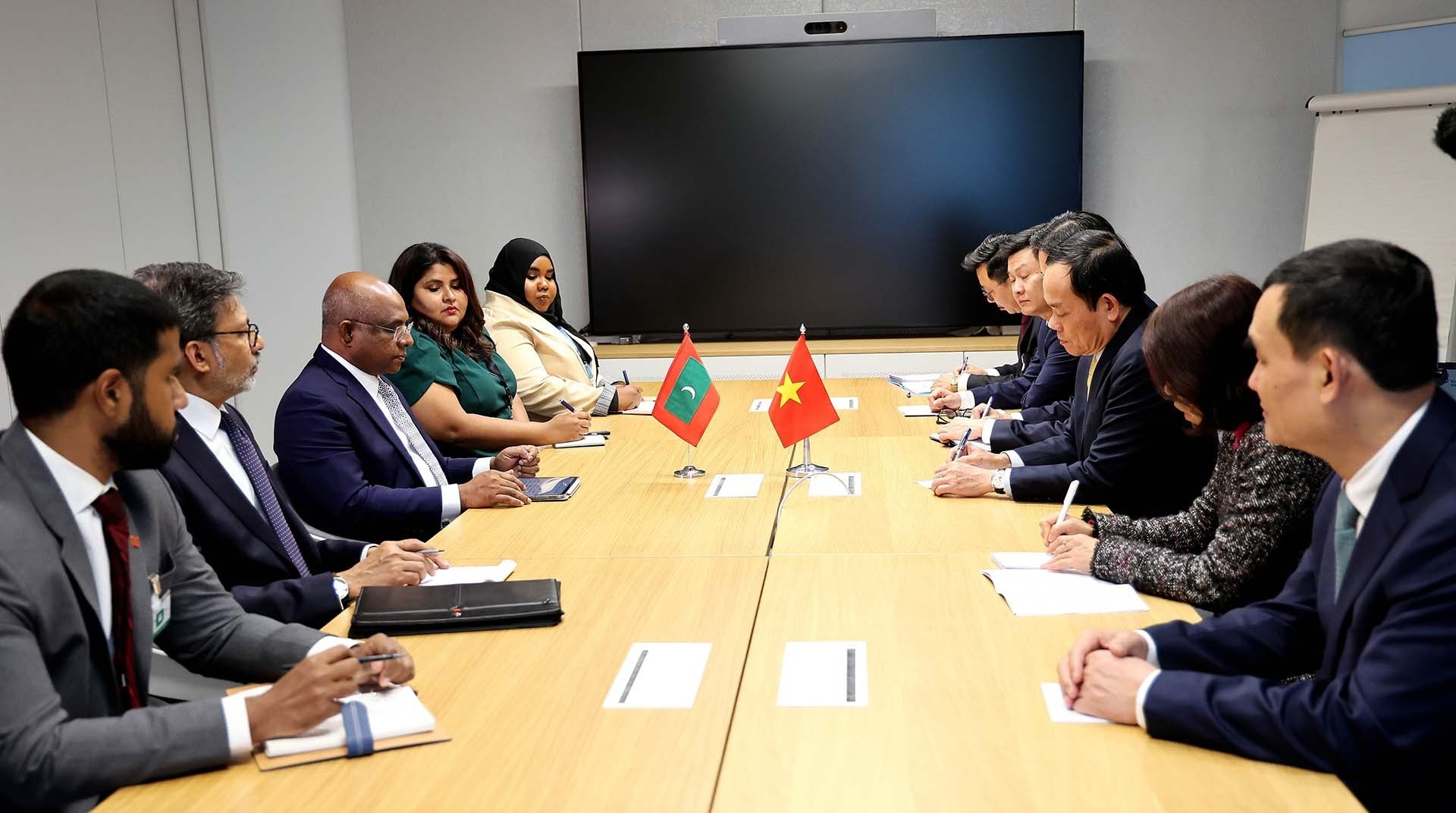 Phó Thủ tướng Trần Lưu Quang tiếp Bộ trưởng Ngoại giao Maldives Abdulla Shahid. (Nguồn: TTXVN)