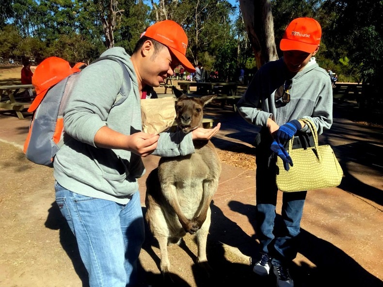 Quảng bá du lịch Việt Nam-Thành phố Hồ Chí Minh tại Australia ảnh 1