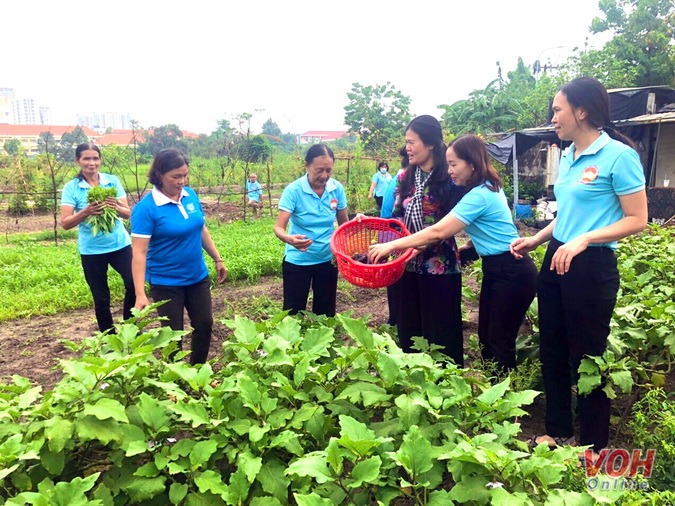 Thành phố Thủ Đức: Biến bãi rác thành vườn rau sạch 1