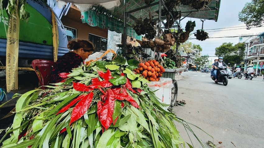 Tết Đoan Ngọ treo túi thơm, lá ngải cứu và xương rồng  ảnh 5