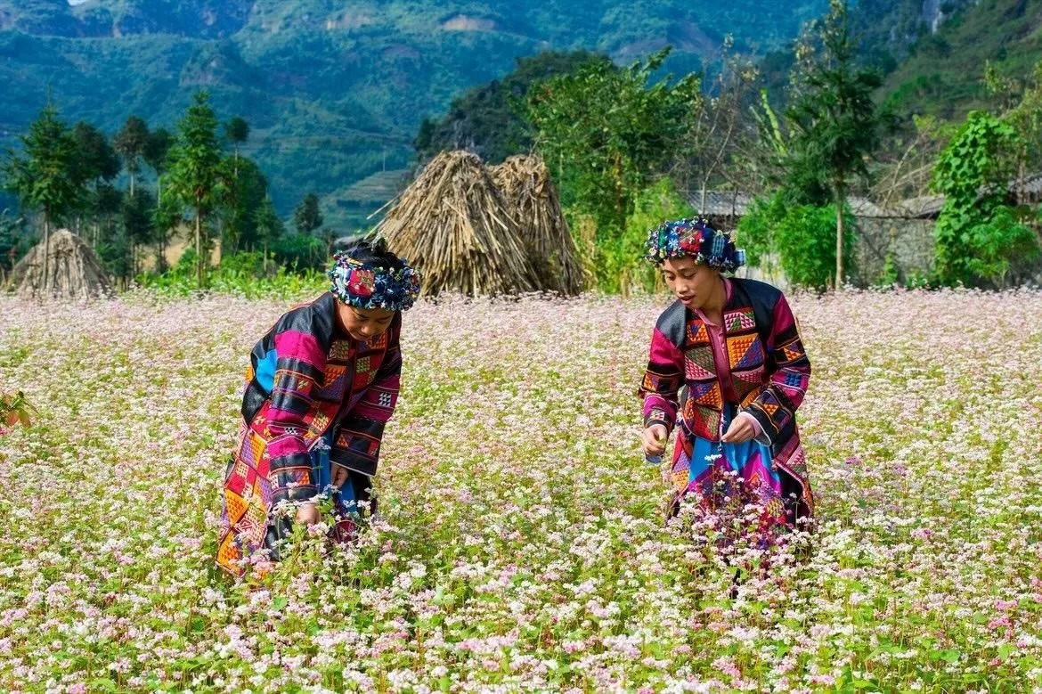 Thung lũng Sủng Là: 'Ốc đảo' yên bình trên cao nguyên đá Hà Giang