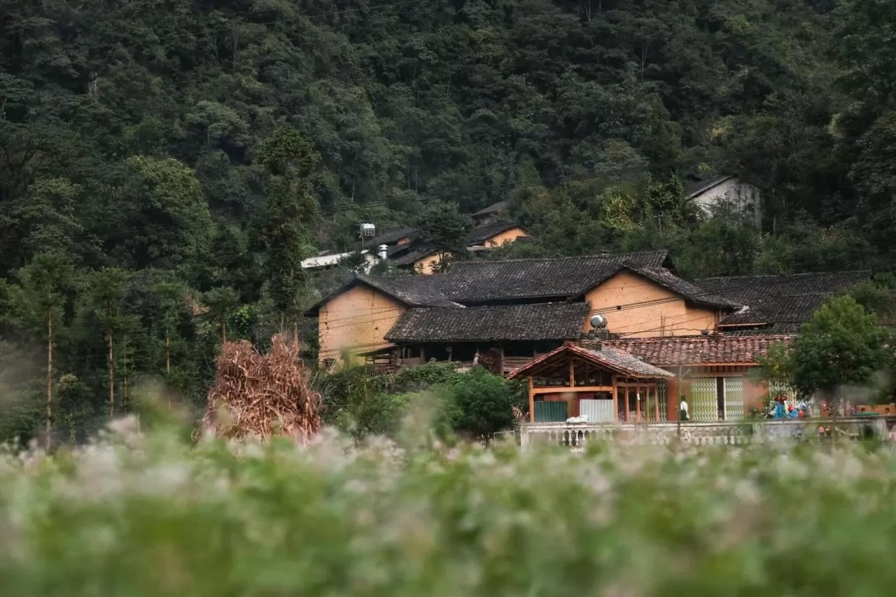 Thung lũng Sủng Là: 'Ốc đảo' yên bình trên cao nguyên đá Hà Giang